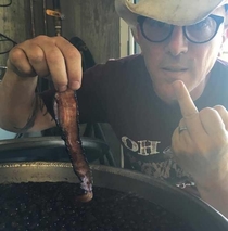 Maynard J Keenan from Tool was asked if the wine he sold was vegan He replied with this picture