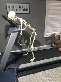 Me waiting for the energy to work out