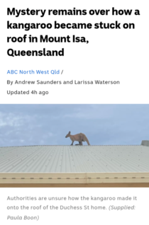 Meanwhile in Australia