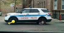 Meanwhile in Chicago the gangs strike again