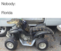 Meanwhile in Florida