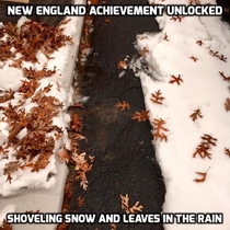 Meanwhile in New England