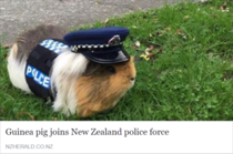 Meanwhile in New Zealand