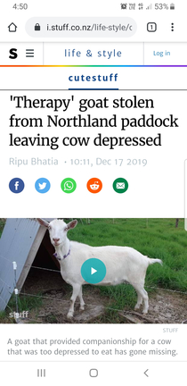 Meanwhile in NZ 