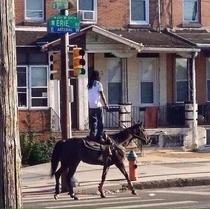 Meanwhile in Philadelphia