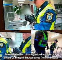 Meanwhile in Sweden