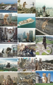 Meet Catzillas Giant Cats In Urban Landscapes