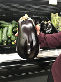 Meet the eggplant  with an eggplant 
