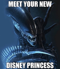 Meet your new disney princess