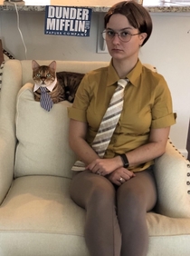 Meowchael Dwight I would like your undivided attention Dwight You couldnt handle my undivided attention - Introducing Maud Jones as Meowchael Scott Regional Manager of Dunder Mifflin Papurr Company  More to come 