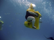 Merican Scuba Diving