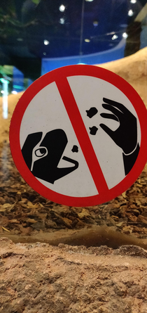 Michelangelo is not allowed to eat popcorn at the science museum 
