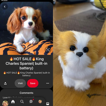 MIL ordered from a dodgy website showcasing realistic puppy toys Right is what arrived
