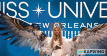 Miss Ukraine National Costume on Miss Universe