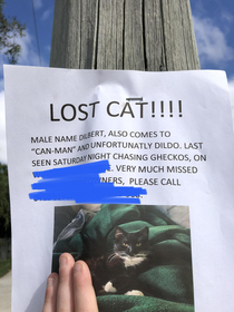 Missing Cat - not funny that hes missing but look at the name
