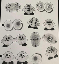 Mitosis Kirby