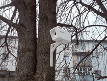 Modern birdhouse