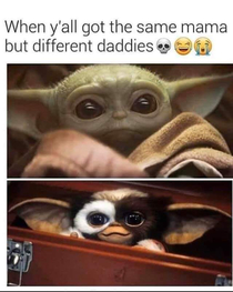 Mogwi - Yoda