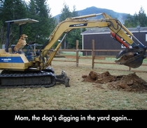 Mom the dog is