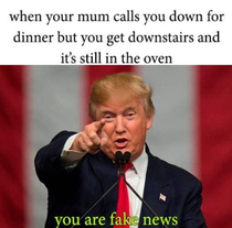 Mom you are fAke news