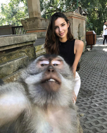 Monkey wanted a selfie