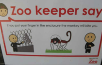 Monkey will bite you