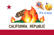 More accurate flag of California