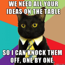 More business cat