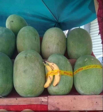 Morrocan mangos