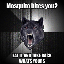 Mosquitoes 