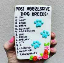 Most aggressive dog breeds