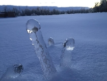 Mother nature can go fuck itself