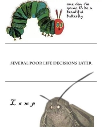 Moths need life counseling