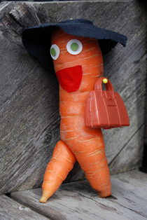 Mrs carrot is going to your house tomorrow