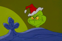 MRW family is over and my mom asks me to smile for a Christmas photo