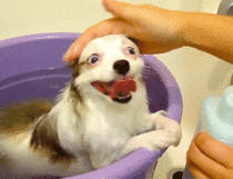 MRW getting my hair washed by someone else