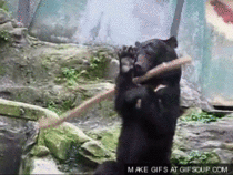 MRW I find a particularly nice stick