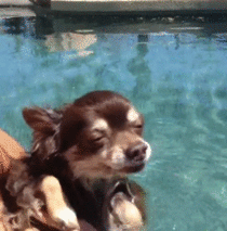 MRW I get too baked and go swimming