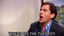 MRW I got lost at the zoo and couldnt find the marine sections