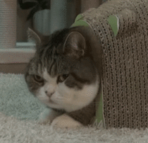 MRW I overhear two girls talking about vibrators at work and then decide theyll try each others out when they get home