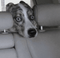 MRW I was on the way to a final exam and realized I was on the bus going the wrong direction