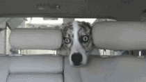 MRW Im in the car and my girlfriend is driving