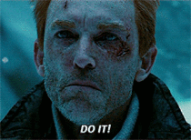 MRW its freezing out and my dog refuses to just go poop