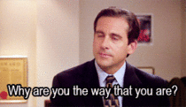MRW my dog gets into the habit of barking every morning at AM