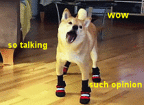 MRW my gf says my socks dont match my outfit