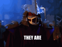 MRW my little brothers get mad because I never let my nieces or nephews win at Mario Kart
