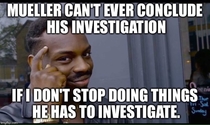 Muellers Investigation