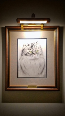 My amazing artistic talented friend drew a fantastic portrait of my cat as a surprise gift Unbeknownst to my wife I decided to have it properly framed labeled hung and lit in the best way possible