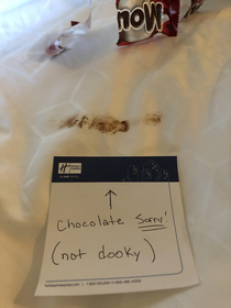 My apologies to the housekeeping staff