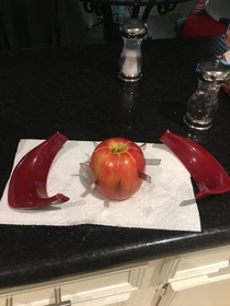 My apple broke the apple cutter and now I have a weapon